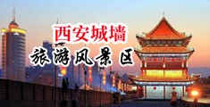 日韩美女乳与屄中国陕西-西安城墙旅游风景区