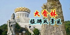 鸡巴太大插女人视频中国浙江-绍兴大香林旅游风景区